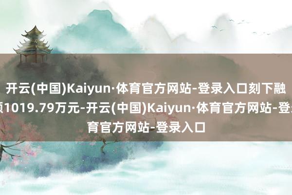 开云(中国)Kaiyun·体育官方网站-登录入口刻下融资余额1019.79万元-开云(中国)Kaiyun·体育官方网站-登录入口