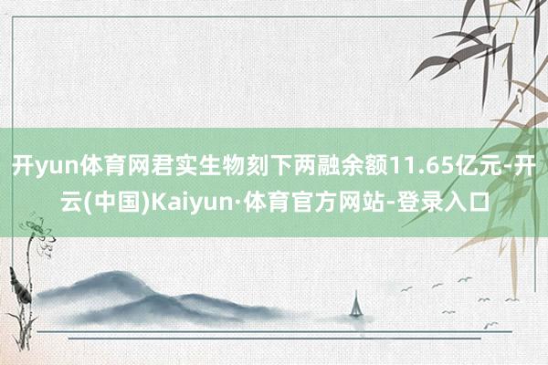 开yun体育网君实生物刻下两融余额11.65亿元-开云(中国)Kaiyun·体育官方网站-登录入口